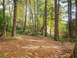 2511 Florence Lake Rd — listing photo 39 of 56