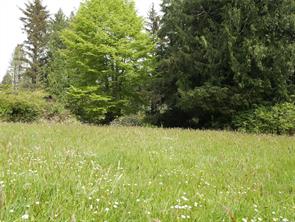 Proposed-2 Invermuir Rd — listing photo 37 of 50