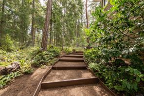 908 Little Mountain Rd — listing photo 33 of 44