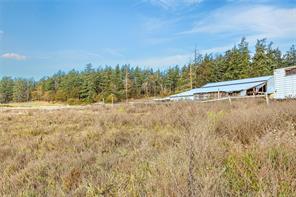 4170 Granville Ave — listing photo 91 of 99
