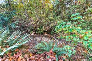 3-10325 Lakeshore Rd — listing photo 33 of 48