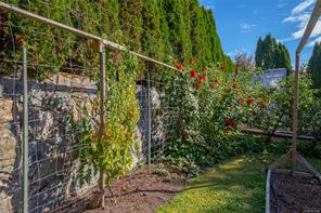6309 Central Saanich Rd — listing photo 70 of 91