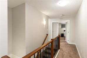 3646 Soren Pl — listing photo 30 of 50