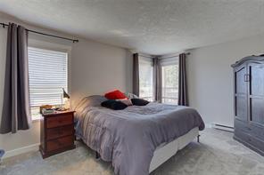 2538 Trillium Terr — listing photo 27 of 58
