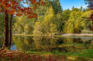 107-3042 River Rd — listing photo 30 of 41