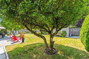 558 Johnstone Rd — listing photo 61 of 64