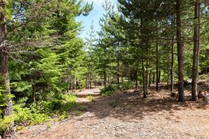 4150 Pinecrest Rd — listing photo 42 of 57