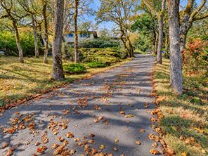 3524 Plymouth Rd — listing photo 37 of 46
