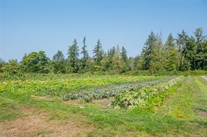 6620 King Ave — listing photo 29 of 42