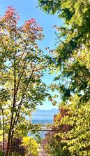 213-930 Braidwood Rd — listing photo 18 of 44