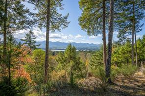 1157 Pickles Rd — listing photo 27 of 41