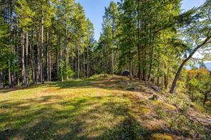1157 Pickles Rd — listing photo 28 of 41