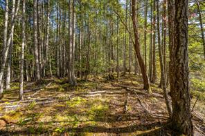 1157 Pickles Rd — listing photo 30 of 41