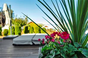 5534 Cliffside Rd — listing photo 45 of 62