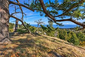 10-942 Boulderwood Rise — listing photo 45 of 52