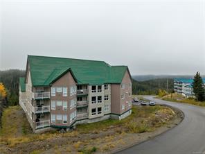 506-1201 Henry Rd — listing photo 31 of 57