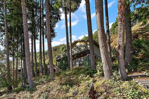 9712 Marble Bay Rd — listing photo 28 of 57