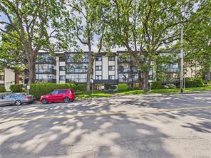 401-1665 Oak Bay Ave — listing photo 41 of 42