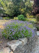 2083 North End Rd — listing photo 67 of 76
