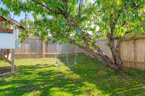 4891 David St — listing photo 44 of 47