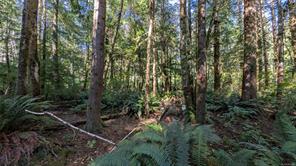 12 Whalers Cove Lane — listing photo 20 of 28
