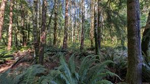 12 Whalers Cove Lane — listing photo 21 of 28