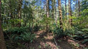 12 Whalers Cove Lane — listing photo 24 of 28