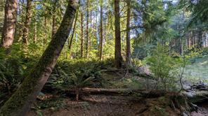 12 Whalers Cove Lane — listing photo 25 of 28