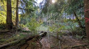 12 Whalers Cove Lane — listing photo 26 of 28