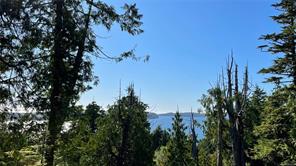 340 Tonquin Park Rd — listing photo 15 of 19