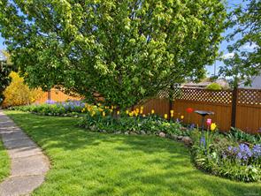Property Photo 50