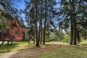 Property Photo 61