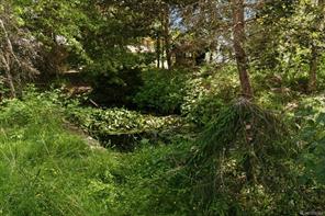 Property Photo 76