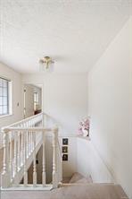 4617 Cliffwood Pl — listing photo 38 of 48