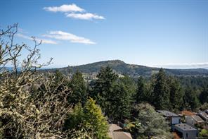 4617 Cliffwood Pl — listing photo 45 of 48