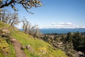 4617 Cliffwood Pl — listing photo 48 of 48