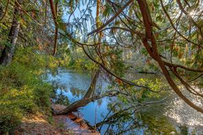 778 Shorewood Dr — listing photo 36 of 49