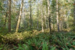 148 Meadow Dr — listing photo 15 of 25