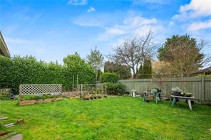 2614 Scott St — listing photo 35 of 46