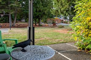 1800 Craig Dr — listing photo 37 of 62