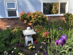 2464 Hazel St — listing photo 56 of 66