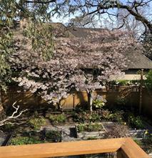 2464 Hazel St — listing photo 57 of 66
