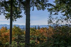1183 Moore Rd — listing photo 71 of 72