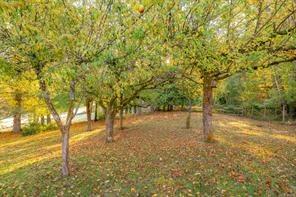 1035 Briarwood Cres — listing photo 68 of 72