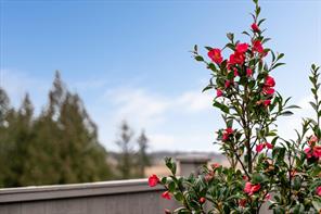 1348 Crown Isle Blvd — listing photo 65 of 69