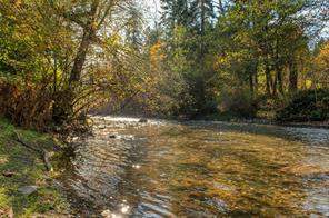 2691 Campbell River Rd — listing photo 48 of 65