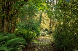 2691 Campbell River Rd — listing photo 50 of 65