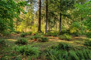 2691 Campbell River Rd — listing photo 51 of 65