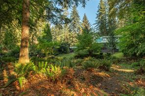 2691 Campbell River Rd — listing photo 52 of 65