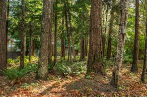 2691 Campbell River Rd — listing photo 62 of 65